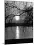 Swans Swimming Through the Moonlight Streaks on Pond-Cornell Capa-Mounted Photographic Print