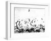 Swans waves-Silvia Dinca-Framed Photographic Print