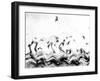 Swans waves-Silvia Dinca-Framed Photographic Print