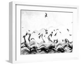 Swans waves-Silvia Dinca-Framed Photographic Print