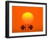 Swans with Sundown (M)-Ludwig Mallaun-Framed Photographic Print