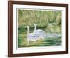 Swans-Allen Friedman-Framed Limited Edition