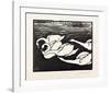 Swans-Félix Vallotton-Framed Giclee Print