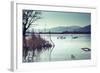 Swans-Sebastian RADU-Framed Photographic Print