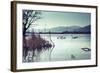 Swans-Sebastian RADU-Framed Photographic Print