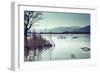 Swans-Sebastian RADU-Framed Photographic Print