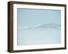 Swans-null-Framed Photographic Print