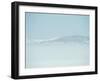 Swans-null-Framed Photographic Print