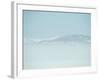 Swans-null-Framed Photographic Print