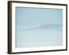 Swans-null-Framed Photographic Print