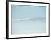 Swans-null-Framed Photographic Print