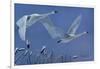 Swans-Rusty Frentner-Framed Giclee Print