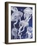 Swarm II-Grace Popp-Framed Art Print