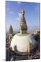 Swayambhunath Buddhist Stupa or Monkey Temple, Kathmandu, Nepal-Peter Adams-Mounted Premium Photographic Print