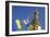 Swayambhunath Stupa, UNESCO World Heritage Site, Kathmandu, Nepal, Asia-Ian Trower-Framed Photographic Print