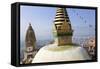 Swayambunath Stupa or Monkey Temple, Kathmandu, Nepal-Peter Adams-Framed Stretched Canvas