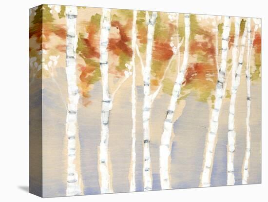 Swaying Birches II-Jennifer Goldberger-Stretched Canvas