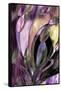 Swaying Glass-Mindy Sommers-Framed Stretched Canvas