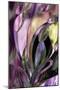 Swaying Glass-Mindy Sommers-Mounted Giclee Print