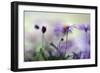 Swaying in the Summer Night II-Heidi Westum-Framed Photographic Print