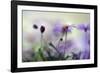 Swaying in the Summer Night II-Heidi Westum-Framed Photographic Print