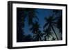 Swaying palm fronds and stars at Palomino on the Carribean coast of Colombia, South America-Alex Treadway-Framed Premium Photographic Print