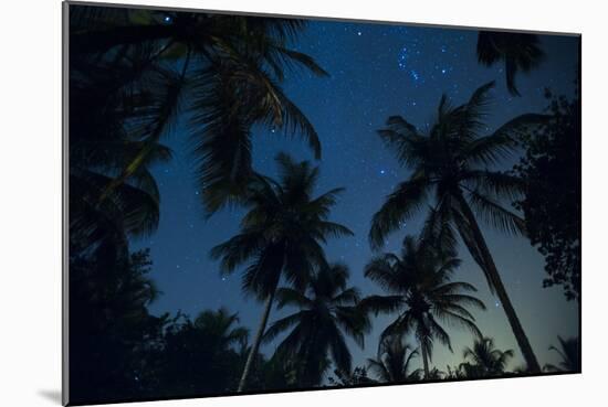 Swaying palm fronds and stars at Palomino on the Carribean coast of Colombia, South America-Alex Treadway-Mounted Premium Photographic Print