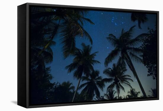 Swaying palm fronds and stars at Palomino on the Carribean coast of Colombia, South America-Alex Treadway-Framed Stretched Canvas