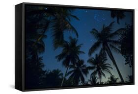 Swaying palm fronds and stars at Palomino on the Carribean coast of Colombia, South America-Alex Treadway-Framed Stretched Canvas