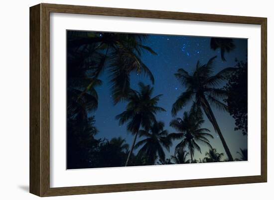 Swaying palm fronds and stars at Palomino on the Carribean coast of Colombia, South America-Alex Treadway-Framed Photographic Print