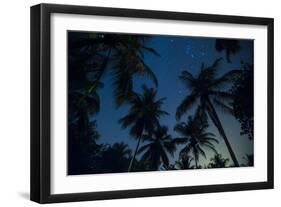 Swaying palm fronds and stars at Palomino on the Carribean coast of Colombia, South America-Alex Treadway-Framed Photographic Print