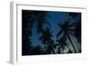 Swaying palm fronds and stars at Palomino on the Carribean coast of Colombia, South America-Alex Treadway-Framed Photographic Print