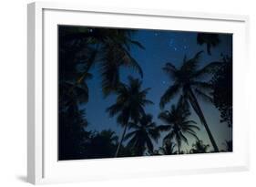 Swaying palm fronds and stars at Palomino on the Carribean coast of Colombia, South America-Alex Treadway-Framed Photographic Print