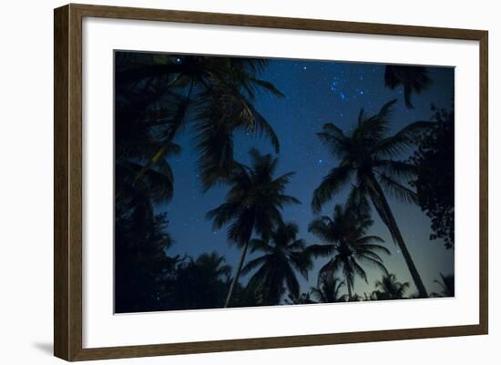 Swaying palm fronds and stars at Palomino on the Carribean coast of Colombia, South America-Alex Treadway-Framed Photographic Print