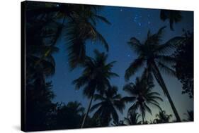 Swaying palm fronds and stars at Palomino on the Carribean coast of Colombia, South America-Alex Treadway-Stretched Canvas