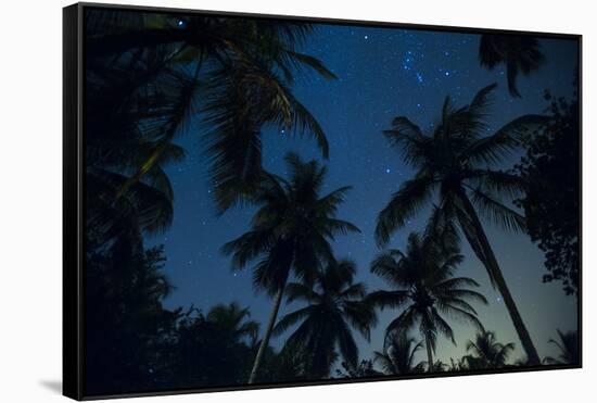 Swaying palm fronds and stars at Palomino on the Carribean coast of Colombia, South America-Alex Treadway-Framed Stretched Canvas