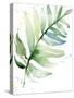 Swaying Palm Fronds II-Lanie Loreth-Stretched Canvas