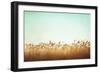 Swaying-Carolyn Cochrane-Framed Photographic Print