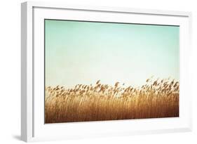 Swaying-Carolyn Cochrane-Framed Photographic Print