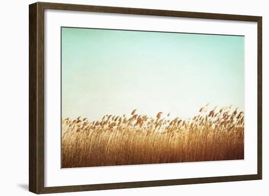 Swaying-Carolyn Cochrane-Framed Photographic Print