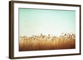 Swaying-Carolyn Cochrane-Framed Photographic Print