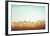 Swaying-Carolyn Cochrane-Framed Photographic Print