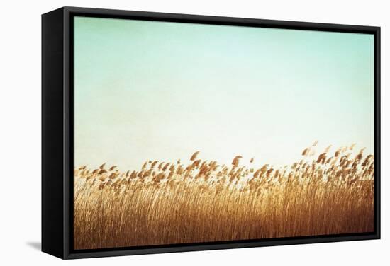 Swaying-Carolyn Cochrane-Framed Stretched Canvas