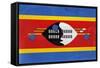 Swaziland Flag Design with Wood Patterning - Flags of the World Series-Philippe Hugonnard-Framed Stretched Canvas