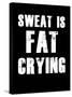 Sweat is Fat Crying-null-Stretched Canvas