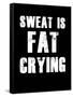 Sweat is Fat Crying-null-Framed Stretched Canvas