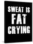 Sweat is Fat Crying-null-Stretched Canvas