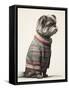 Sweater Shih Tzu-Sasha-Framed Stretched Canvas