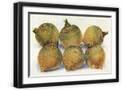 Black Frame