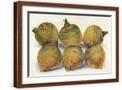 Brown Frame